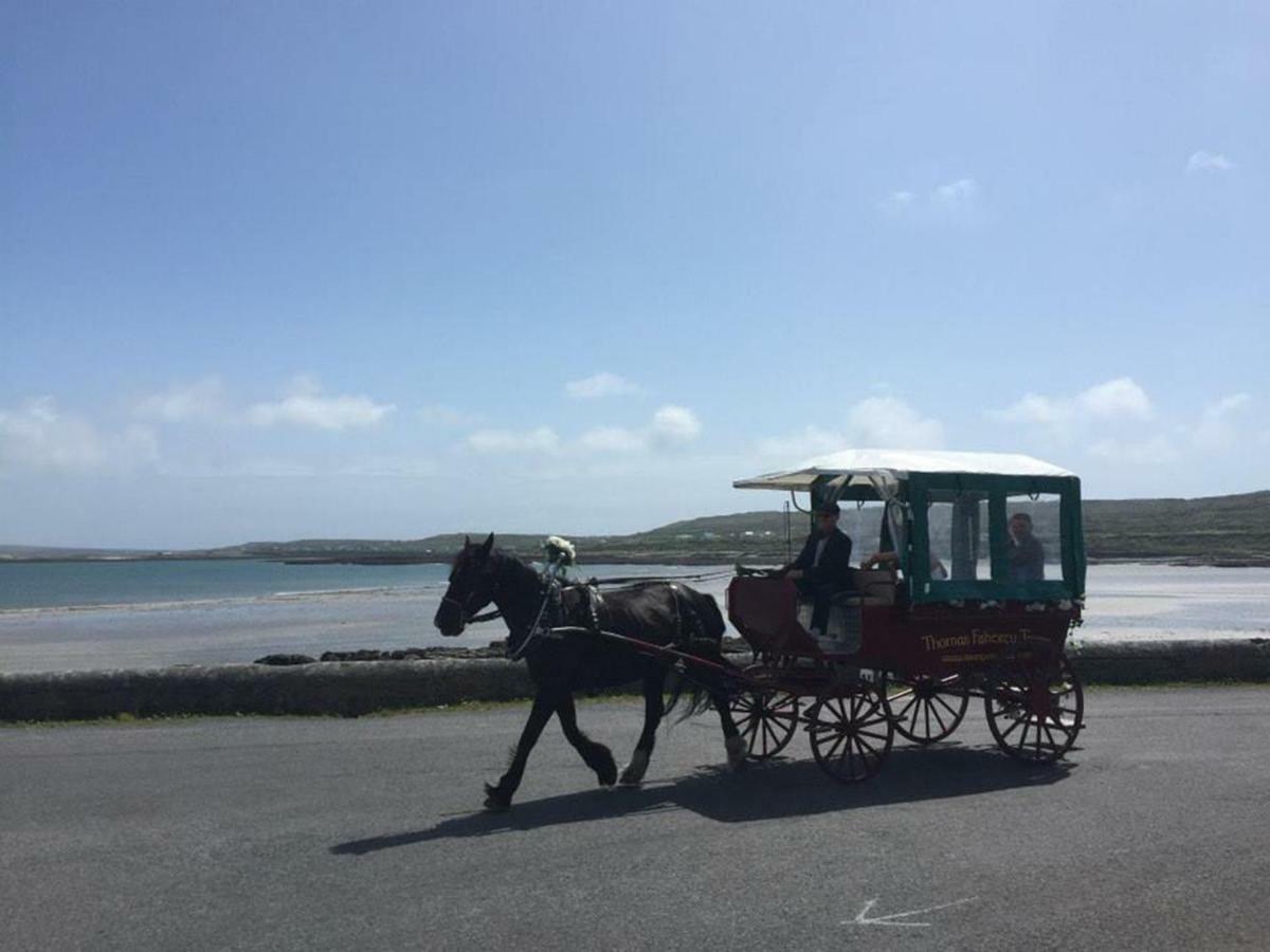 Seacrest B&B Kilronan  Exteriör bild